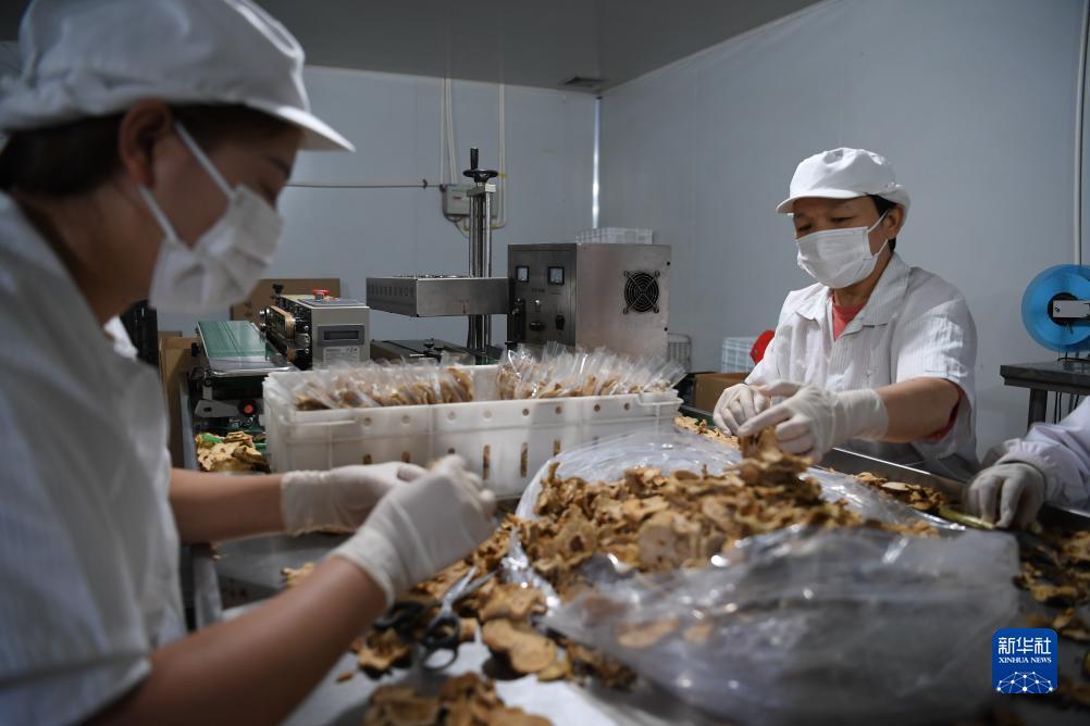 姚记扑克牌官网